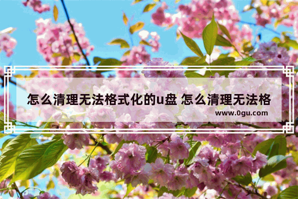 怎么清理无法格式化的u盘 怎么清理无法格式化的u盘数据