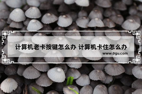 计算机老卡按键怎么办 计算机卡住怎么办