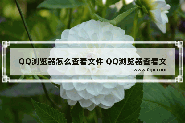 QQ浏览器怎么查看文件 QQ浏览器查看文件的方法