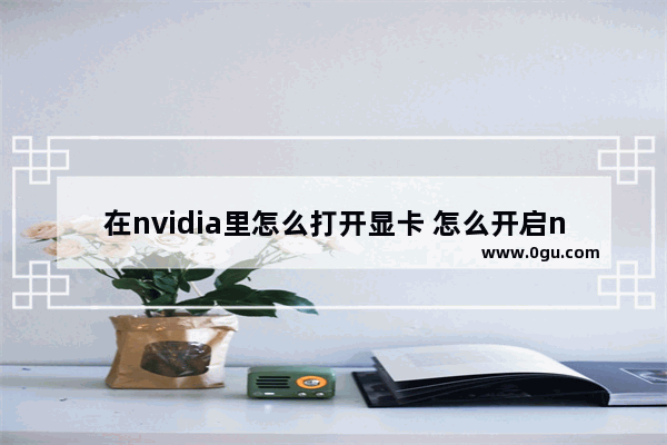 在nvidia里怎么打开显卡 怎么开启nvidia显卡