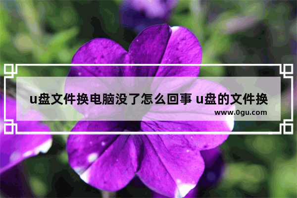 u盘文件换电脑没了怎么回事 u盘的文件换了电脑打不开在电脑上读不出来