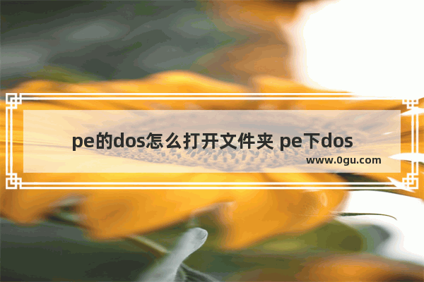 pe的dos怎么打开文件夹 pe下dos