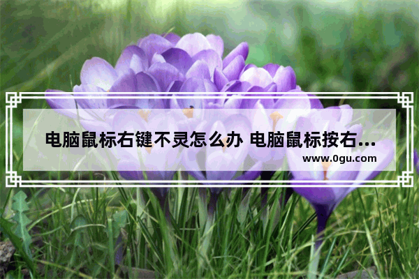 电脑鼠标右键不灵怎么办 电脑鼠标按右键没反应