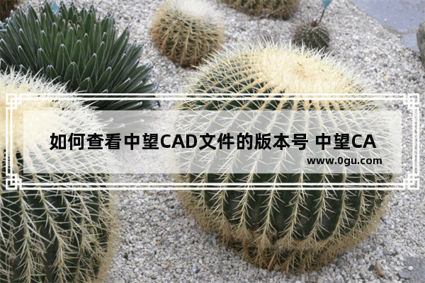 如何查看中望CAD文件的版本号 中望CAD2023查看版本号的方法