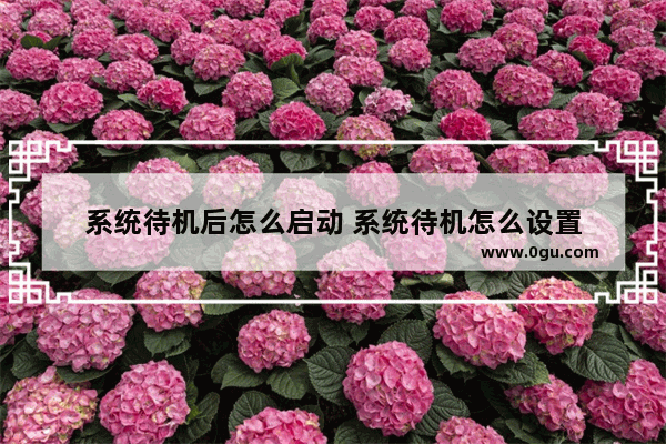 系统待机后怎么启动 系统待机怎么设置