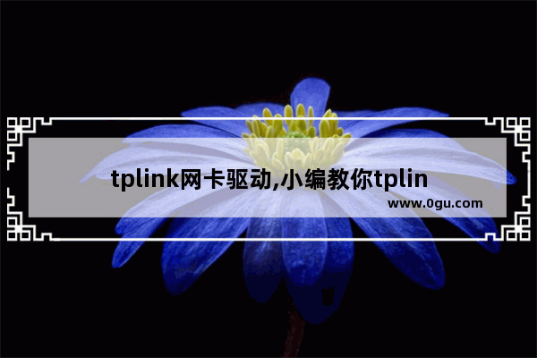 tplink网卡驱动,小编教你tplink无线网卡驱动