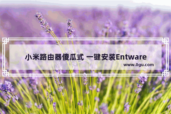小米路由器傻瓜式 一键安装Entware 安装opkg教程
