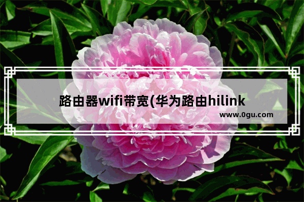 路由器wifi带宽(华为路由hilink组网网速)