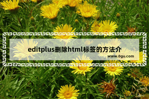 editplus删除html标签的方法介绍