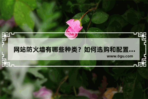 网站防火墙有哪些种类？如何选购和配置网站防火墙？