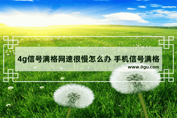 4g信号满格网速很慢怎么办 手机信号满格上网却很慢解决方法