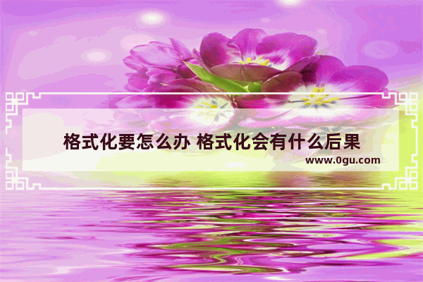 格式化要怎么办 格式化会有什么后果