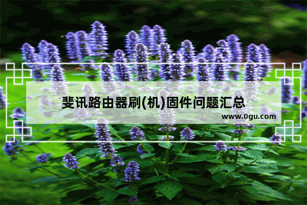 斐讯路由器刷(机)固件问题汇总