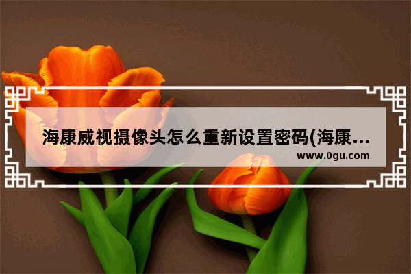 海康威视摄像头怎么重新设置密码(海康威视录像机更改摄像头密码)
