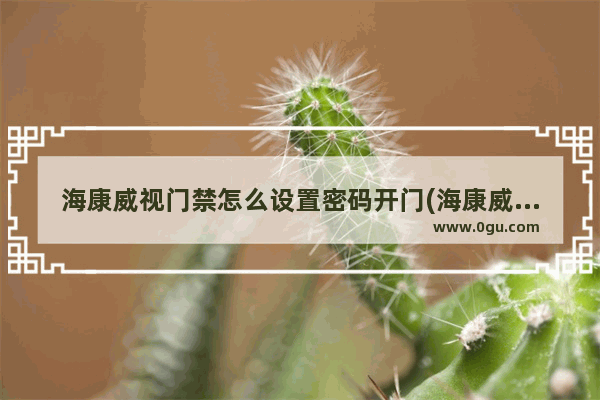 海康威视门禁怎么设置密码开门(海康威视门禁怎么更改密码)