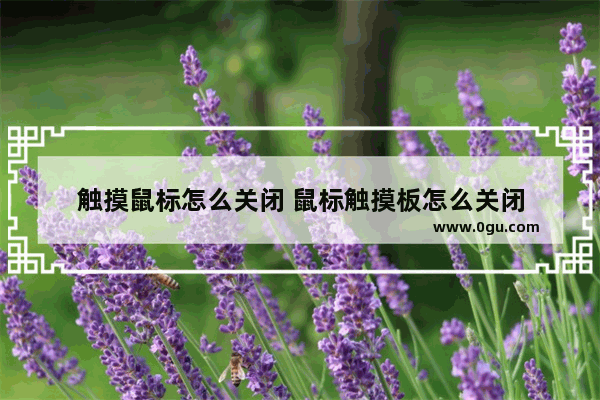 触摸鼠标怎么关闭 鼠标触摸板怎么关闭