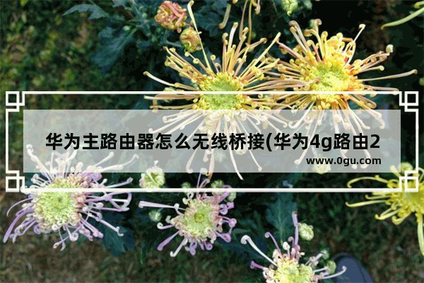 华为主路由器怎么无线桥接(华为4g路由2如何桥接)