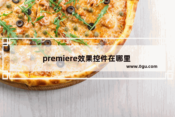 premiere效果控件在哪里 