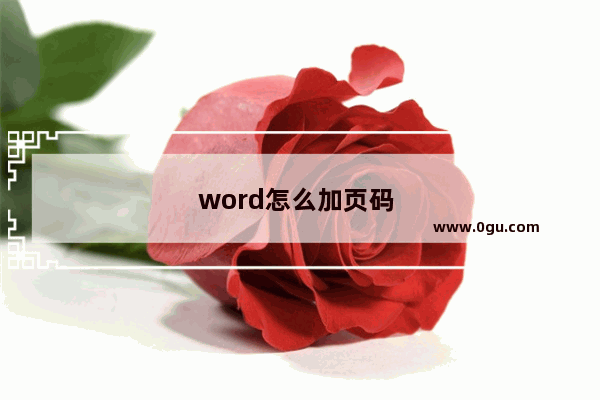 word怎么加页码 
