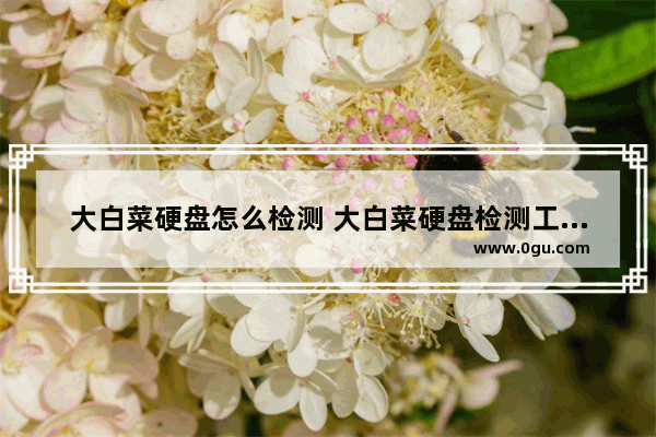 大白菜硬盘怎么检测 大白菜硬盘检测工具怎么用