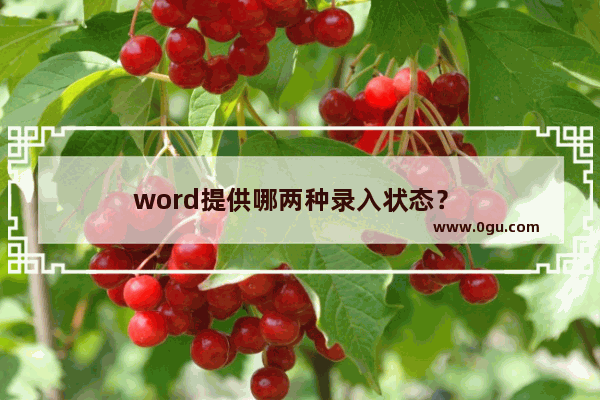 word提供哪两种录入状态？ 