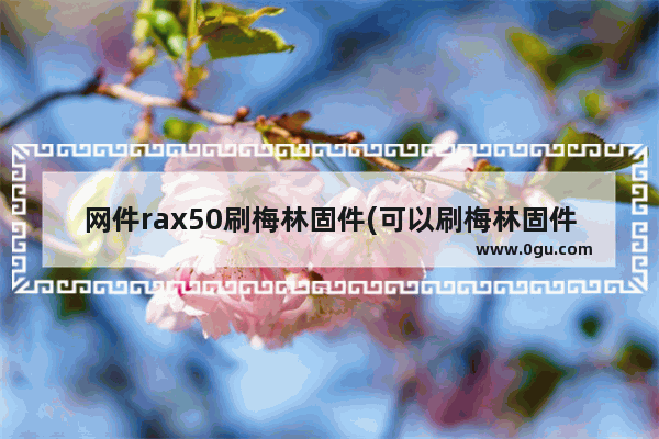 网件rax50刷梅林固件(可以刷梅林固件的路由器)