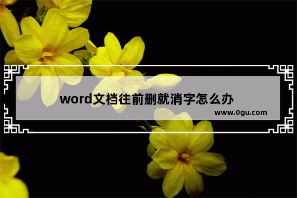 word文档往前删就消字怎么办 