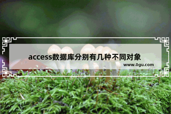 access数据库分别有几种不同对象 