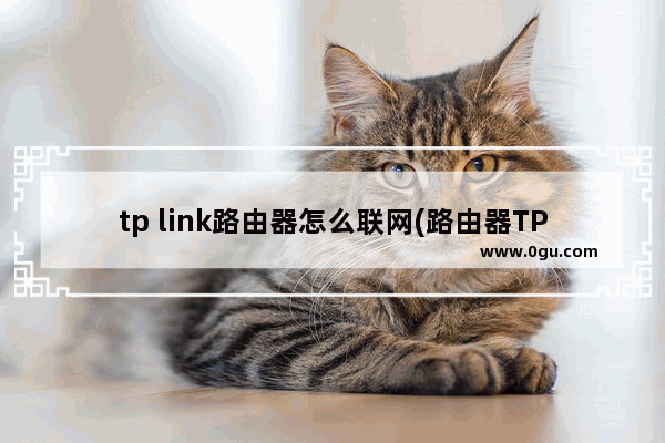 tp link路由器怎么联网(路由器TP Link)