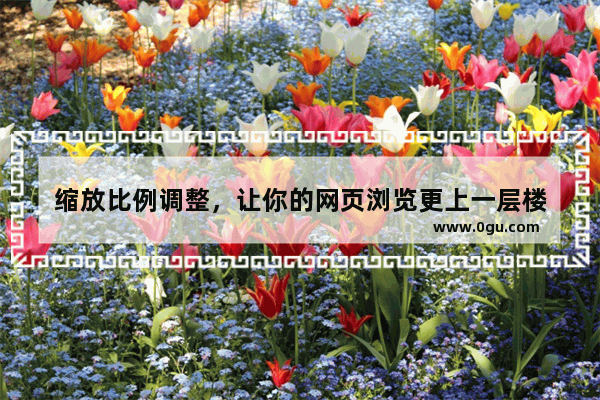 缩放比例调整，让你的网页浏览更上一层楼