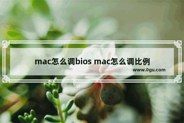 mac怎么调bios mac怎么调比例
