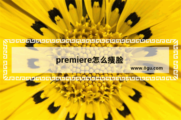 premiere怎么瘦脸 