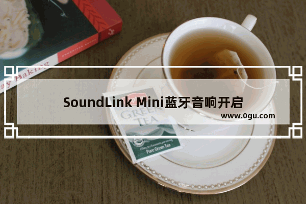 SoundLink Mini蓝牙音响开启待机模式的步骤介绍