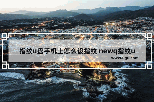 指纹u盘手机上怎么设指纹 newq指纹u盘手机app