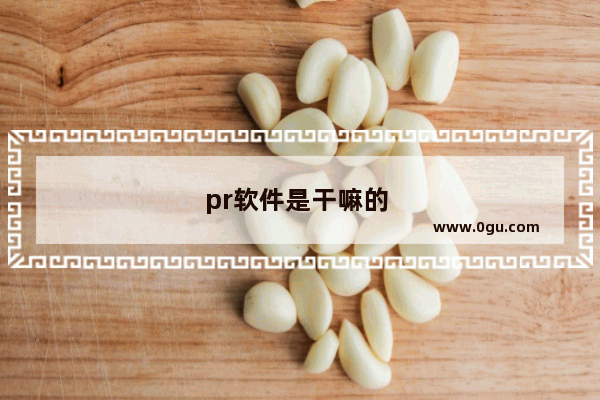 pr软件是干嘛的 