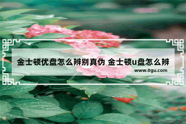 金士顿优盘怎么辨别真伪 金士顿u盘怎么辨别真伪