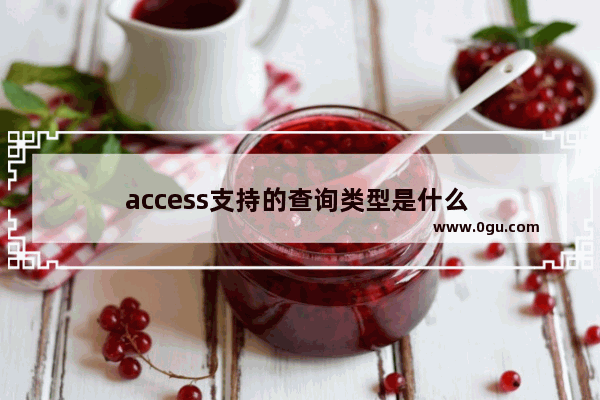 access支持的查询类型是什么 