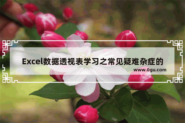 Excel数据透视表学习之常见疑难杂症的处理方法 