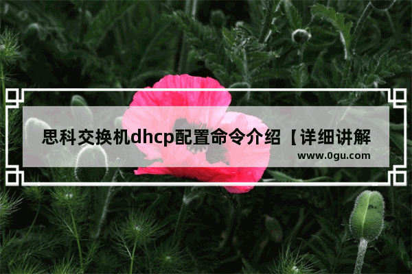 思科交换机dhcp配置命令介绍【详细讲解】