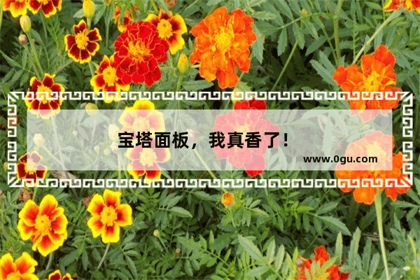 宝塔面板，我真香了！ 