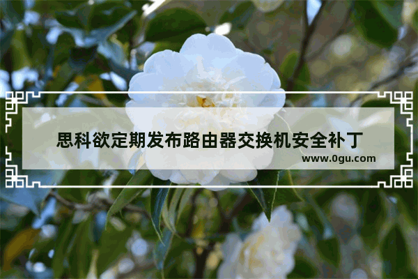 思科欲定期发布路由器交换机安全补丁