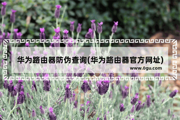 华为路由器防伪查询(华为路由器官方网址)
