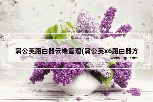 蒲公英路由器云端管理(蒲公英x6路由器方案)