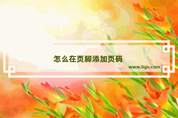 怎么在页脚添加页码 