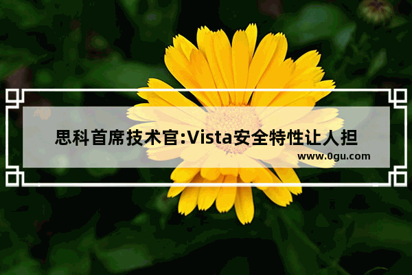 思科首席技术官:Vista安全特性让人担忧