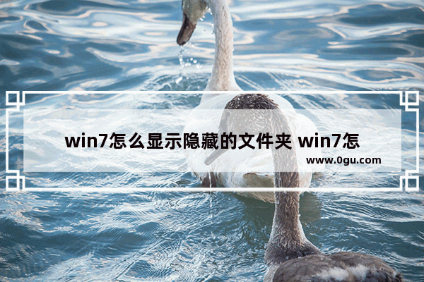 win7怎么显示隐藏的文件夹 win7怎么显示隐藏的文件夹内容