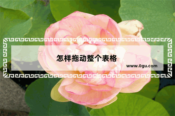 怎样拖动整个表格 