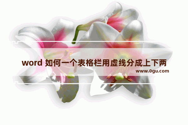 word 如何一个表格栏用虚线分成上下两栏