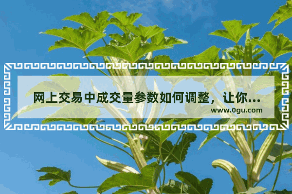 网上交易中成交量参数如何调整，让你的投资盈利更轻松？