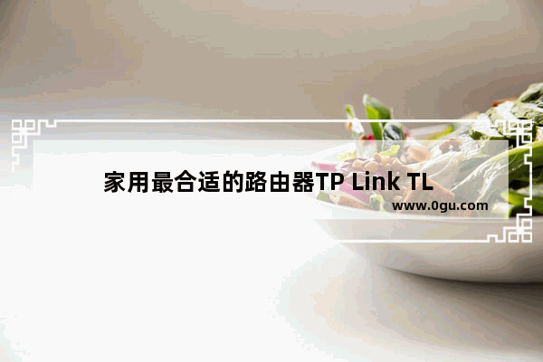 家用最合适的路由器TP Link TL R402+